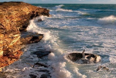 Синоптики рассказали, где в Крыму самое теплое море?!