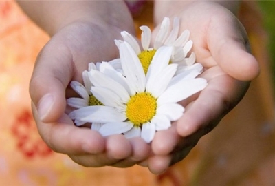 Мероприятия благотворительной акции «Белый цветок» должны пройти в Судаке