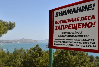 В Крыму ввели летнее ограничение на посещение лесов 